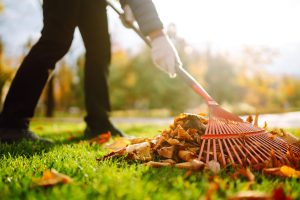 7 Expert Tips for How To Maintain Your Yard in Fall