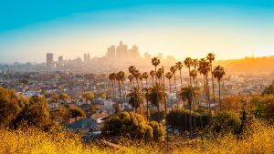 Los Angeles Moving Guide