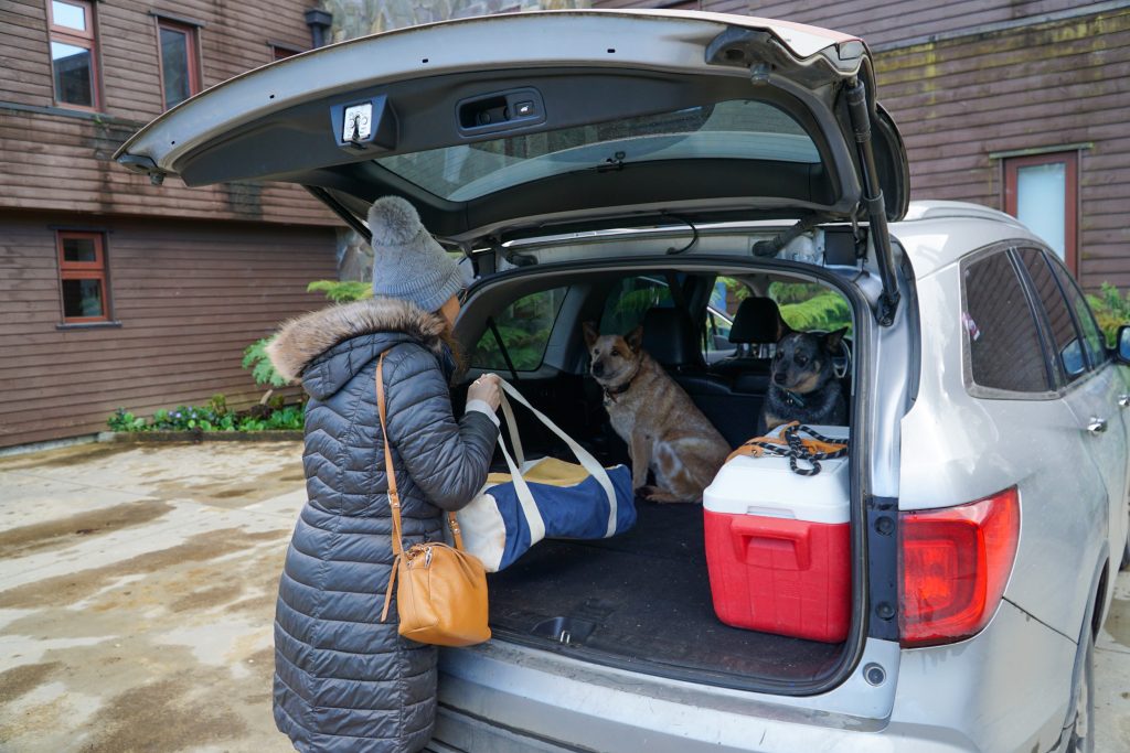 A woman in a hat and coat packing her SUV's trunk with bags while her dogs waits in the vehicle.