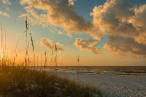 The Notable Pros and Cons of Living in Navarre, Florida