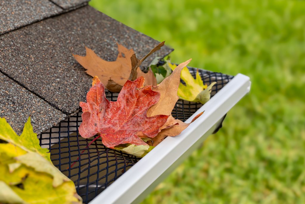 Red and yellow leaves in a gutter.
